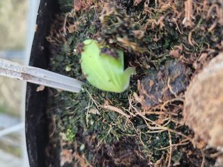 늘햇살팜 님의 호박 · 영농일지 작성글 사진