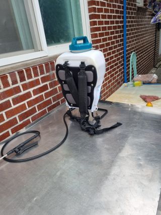 김용대님의 자유주제 · 자유게시판 작성글 사진