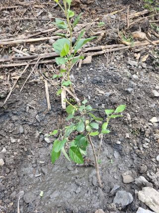 김용대님의 자유주제 · 자유게시판 작성글 사진