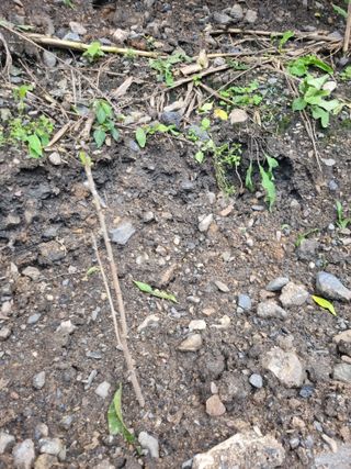 김용대님의 자유주제 · 자유게시판 작성글 사진