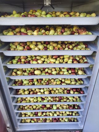 정택님의 기타작물 · 영농일지 작성글 사진