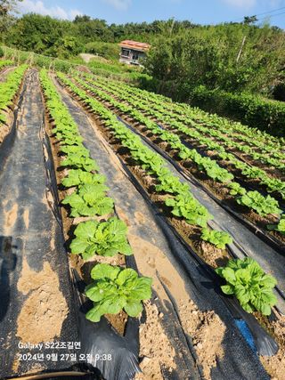 趙吉衍님의 자유주제 · 자유게시판 작성글 사진