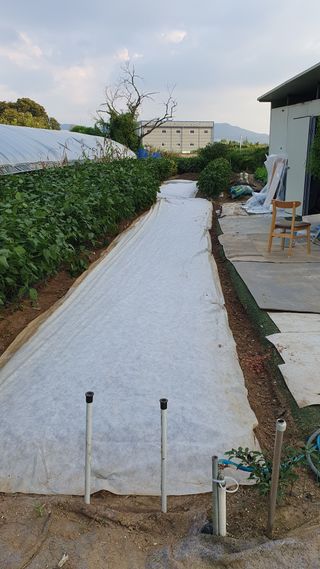 이서구님의 자유주제 · 자유게시판 작성글 사진