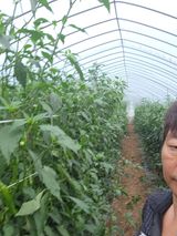 팜모닝 자유주제·자유게시판 게시글 이미지