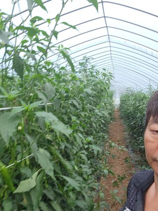 병아리농사꾼님의 자유주제 · 자유게시판 작성글 사진