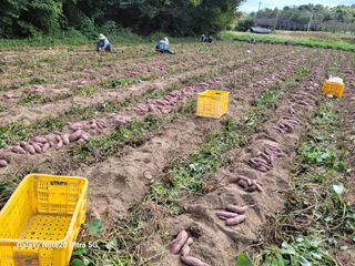 김용민님의 자유주제 · 자유게시판 작성글 사진