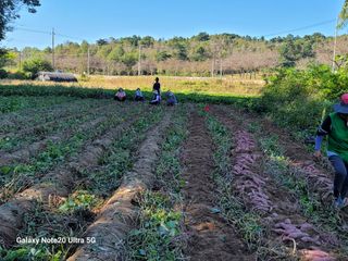 김용민님의 자유주제 · 자유게시판 작성글 사진