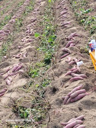 김용민님의 자유주제 · 자유게시판 작성글 사진