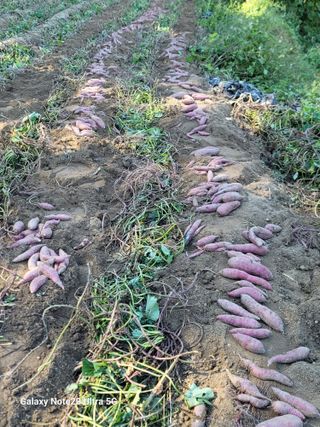 김용민님의 자유주제 · 자유게시판 작성글 사진