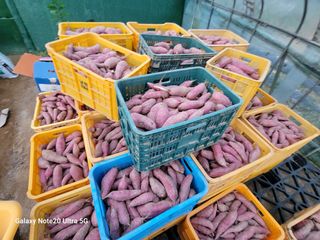 김용민님의 자유주제 · 자유게시판 작성글 사진