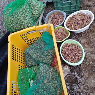 삼성농산님의 자유주제 · 자유게시판 작성글 사진