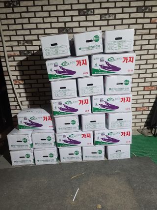 이범규님의 기타작물 · 영농일지 작성글 사진