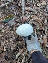 팜모닝 자유주제·자유게시판 게시글 이미지