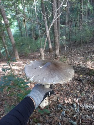 주말부부농사꾼님의 자유주제 · 자유게시판 작성글 사진