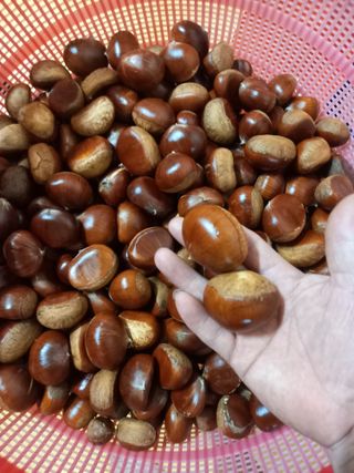 주말부부농사꾼님의 자유주제 · 자유게시판 작성글 사진