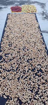 팜모닝 더운 가을, 농사 괜찮으신가요?·참여글 게시글 이미지