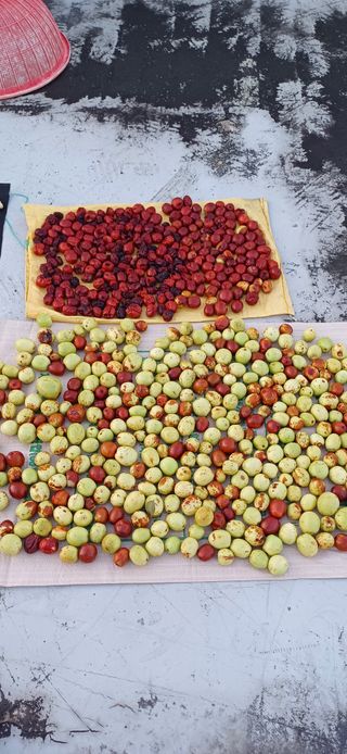 이강재님의 더운 가을, 농사 괜찮으신가요? · 참여글 작성글 사진