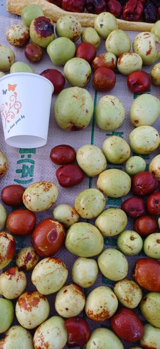 이강재님의 더운 가을, 농사 괜찮으신가요? · 참여글 작성글 사진