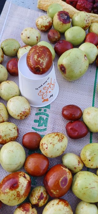 이강재님의 더운 가을, 농사 괜찮으신가요? · 참여글 작성글 사진