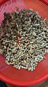 팜모닝 기타작물·영농일지 게시글 이미지