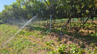 다불산님의 자유주제 · 자유게시판 작성글 사진