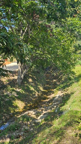 다불산님의 자유주제 · 자유게시판 작성글 사진