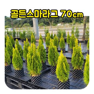 이선미님의 작성글 사진