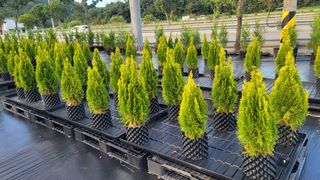 이선미님의 작성글 사진