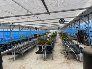 스토크님의 농사, 무엇이든 물어보세요! · 참여글 작성글 사진