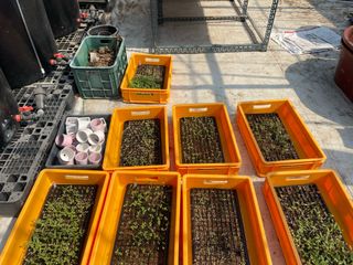 스토크님의 농사, 무엇이든 물어보세요! · 참여글 작성글 사진