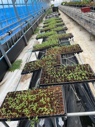 스토크님의 농사, 무엇이든 물어보세요! · 참여글 작성글 사진