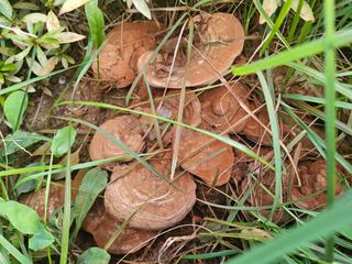 하근수님의 자유주제 · 자유게시판 작성글 사진