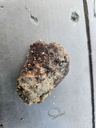 하근수님의 자유주제 · 자유게시판 작성글 사진