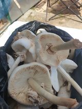 팜모닝 자유주제·사진전 게시글 이미지