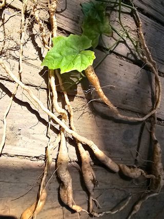 문서연님의 자유주제 · 자유게시판 작성글 사진