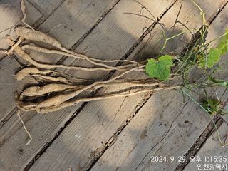 문서연님의 자유주제 · 자유게시판 작성글 사진