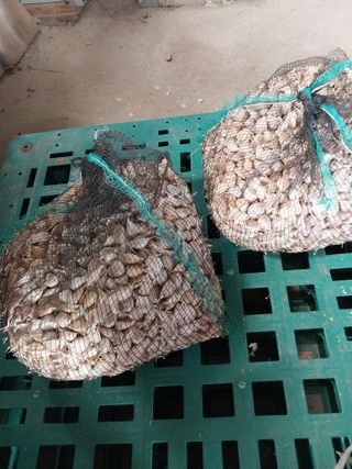 김정석님의 자유주제 · 자유게시판 작성글 사진