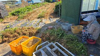 황규복(달구지)님의 자유주제 · 자유게시판 작성글 사진