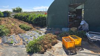 황규복(달구지)님의 자유주제 · 자유게시판 작성글 사진