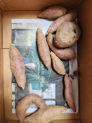 이우섭님의 자유주제 · 사진전 작성글 사진