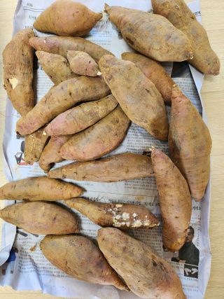 이우섭님의 자유주제 · 사진전 작성글 사진