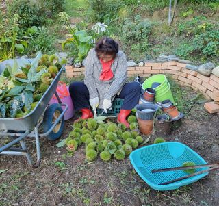 권혁렬님의 기타작물 · 영농일지 작성글 사진