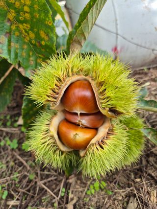 신재경님의 자유주제 · 자유게시판 작성글 사진