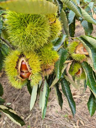 신재경님의 자유주제 · 자유게시판 작성글 사진