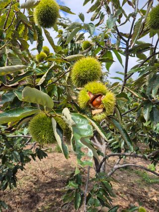 신재경님의 자유주제 · 자유게시판 작성글 사진