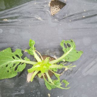 이창화님의 자유주제 · 자유게시판 작성글 사진