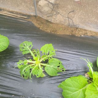 이창화님의 자유주제 · 자유게시판 작성글 사진