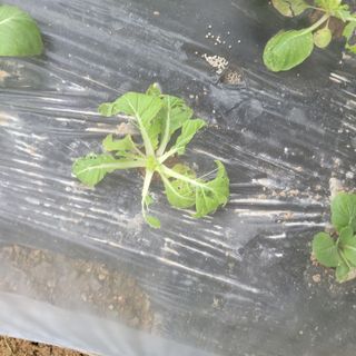 이창화님의 자유주제 · 자유게시판 작성글 사진