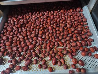 알 수 없음님의 기타작물 · 영농일지 작성글 사진