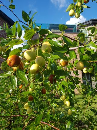 김건호님의 자유주제 · 자유게시판 작성글 사진